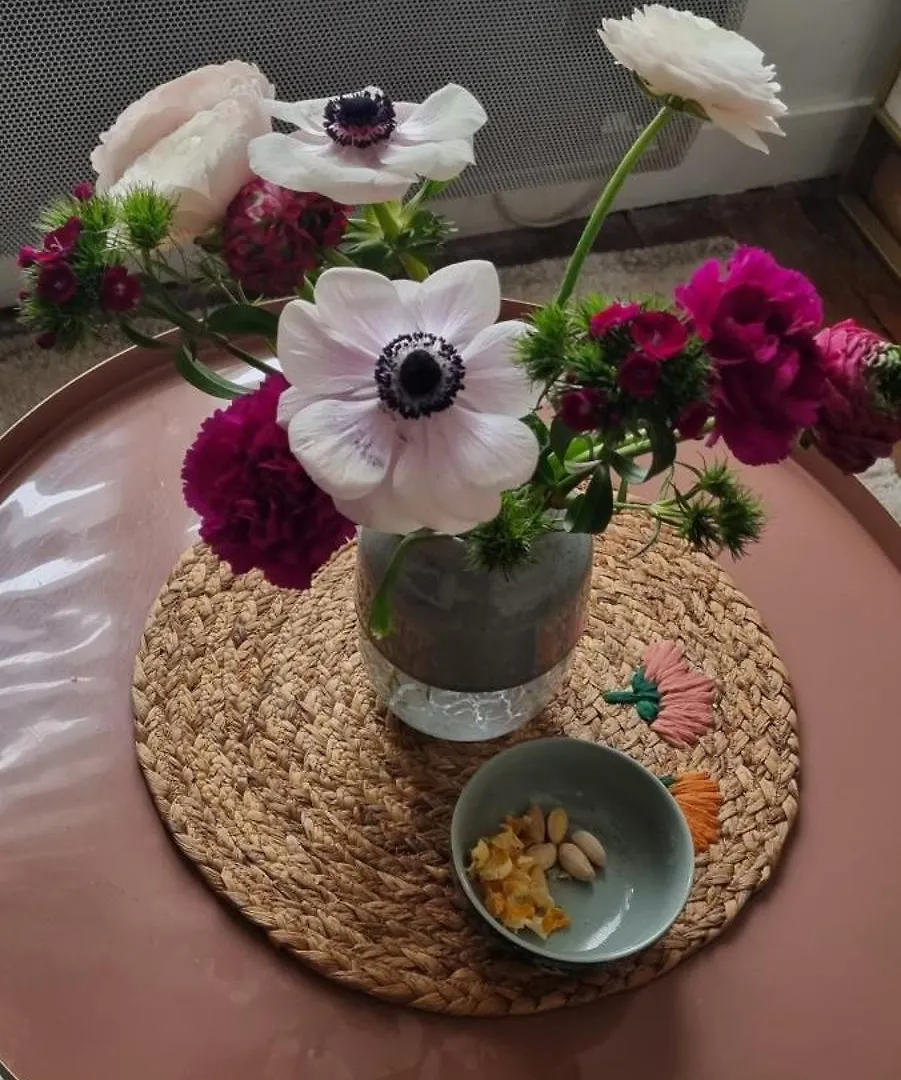 Comfy Studio 파리 아파트